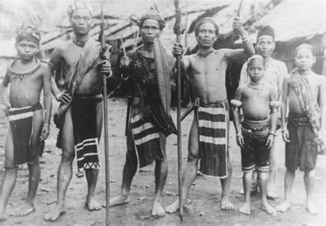 Mengenal Lebih Dalam Suku Dayak Looking Indonesia