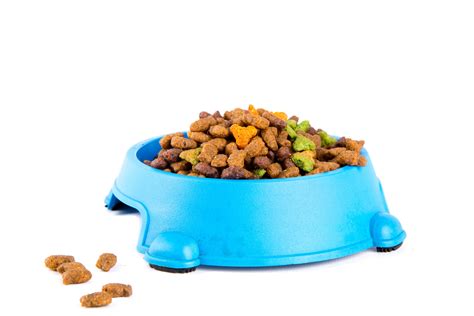 Since its launch early this year, @thinkjinx, the jinx dog food instagram account. Dry Cat Food Free Stock Photo - Public Domain Pictures