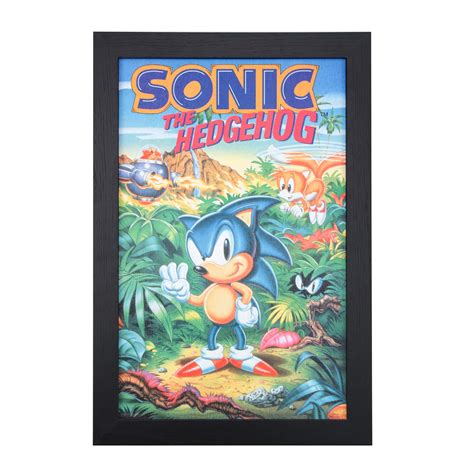 Wall Hangings Wall Décor Sega Genesis Canvas Art Sonic The Hedgehog