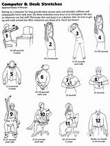 Upper Back Exercises For Seniors Photos