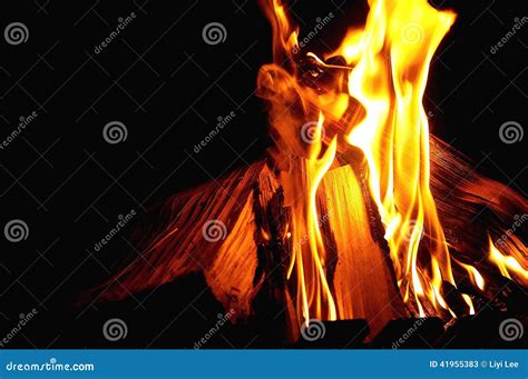 Closeup Of Burning Wood And Fire Stock Image Image Of Flame Logs