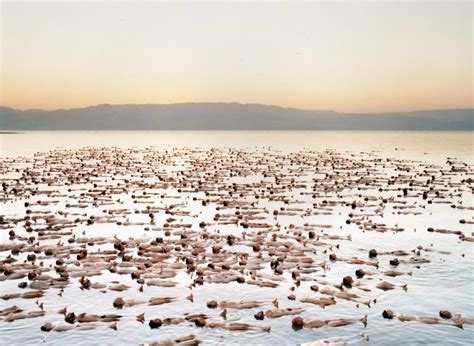 Naked Dead Sea Picture Released By Spencer Tunick Green Prophet