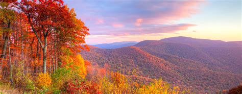 2020 Fall Foliage In The Smoky Mountains Official