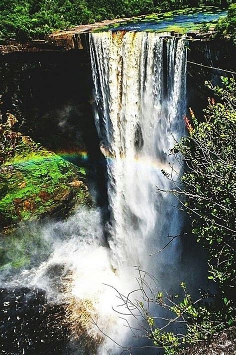 Guyana Kaieteur Falls On The Potaro River Kaieteur National Park