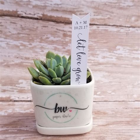 Let Love Grow Succulent Stake Succulent Stake Wedding Favor Etsy