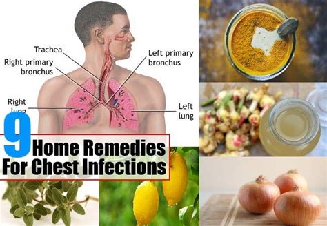 9 Simple Home Remedies For Chest Infections Chest Infection Chest
