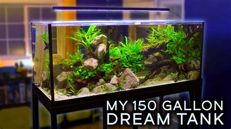 This Is My Dream Aquarium — My 150 Gallon Aquascape Custom Aquariums