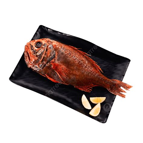 Seafood Aquatic Fish Grouper Wobble Aquatic Product Seafood Png