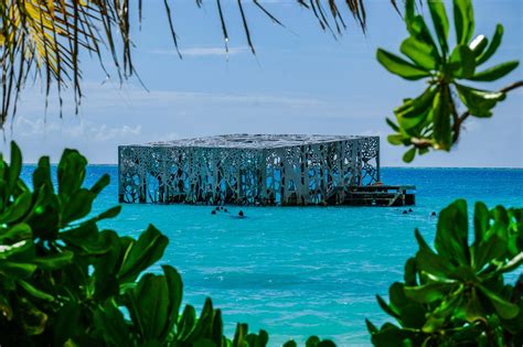 Coral Glass Where Land Sea And Art Collide Fairmont Maldives Sirru