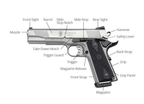 Get To Know The Different Parts Of A Gun 2022 Ranger Point Precision