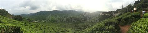 Panoramic Photography Of Green Mountain Range Picture Image 83077446