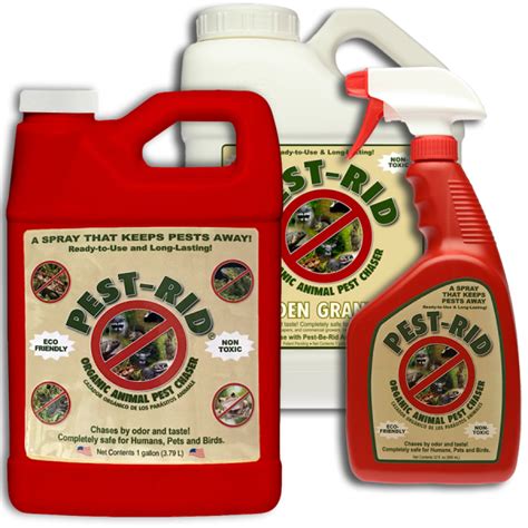 Plants That Repel Flies Safe For Pets - Shade Plants That Repel Flies