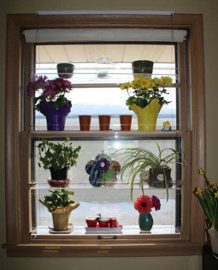 Beautiful Views Hanging Indoor Window Garden Review Indoor Window