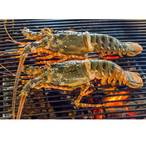Barbecued Lobster — Hookd Up Seafood