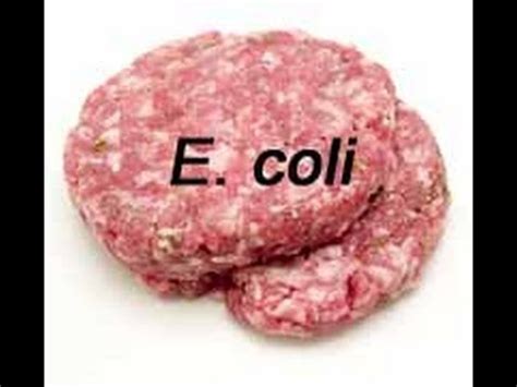 Research Proposal Presence Of Escherichia Coli O H In Beef