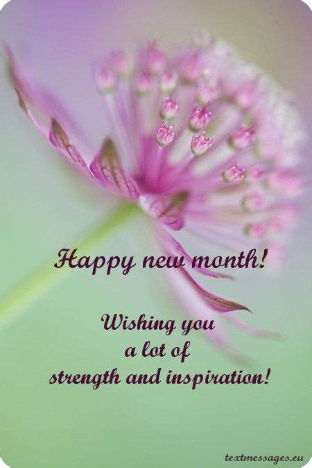 Top 50 Happy New Month Messages Images And New Month Wishes New