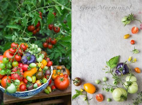 Kolorowe Pomidory Green Morning Fotografia Kulinarna I Przepisy