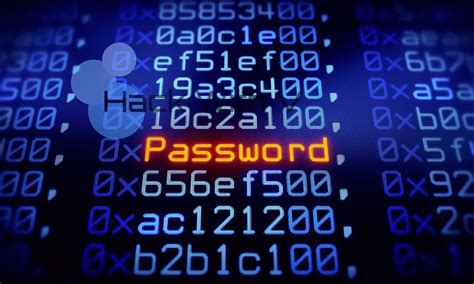 Web Application Password Cracking