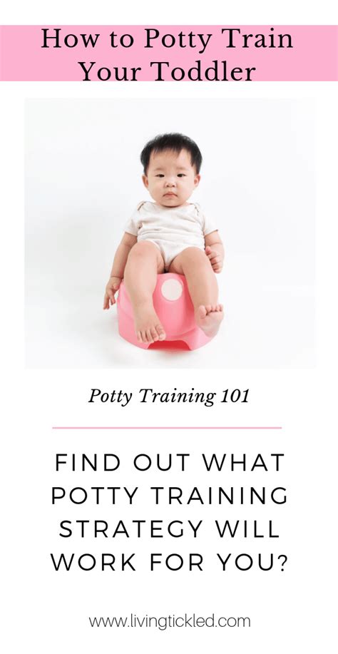 The Ultimate Guide For Potty Training Your Toddler How To Potty Train