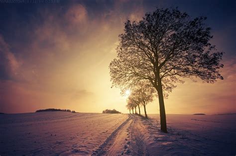 1200x797 Nature Landscape Snow Trees Path Winter Sunset Sunlight