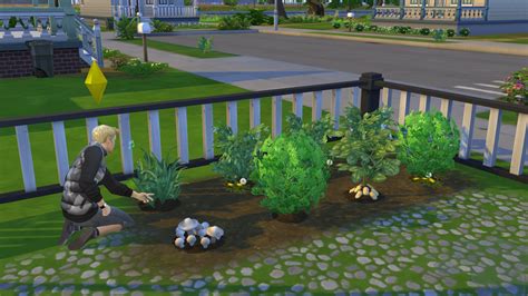 Sims 4 Gardening And Plant List Our Full Guide Sim Guided