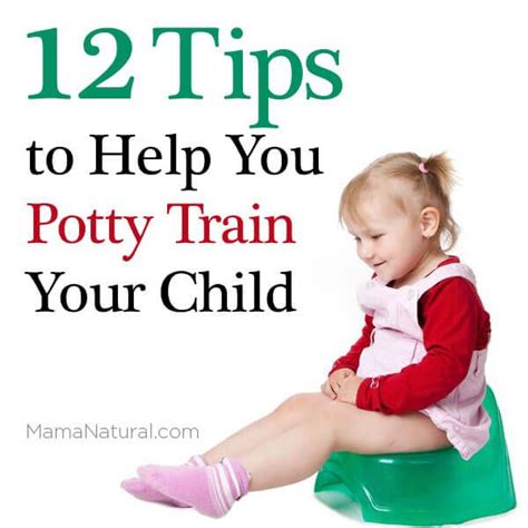 Potty Training 12 Tips To Teach Your Child With Images Potty
