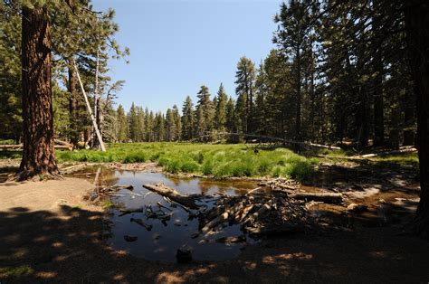 Free Images Landscape Tree Water Nature Forest Rock Wilderness