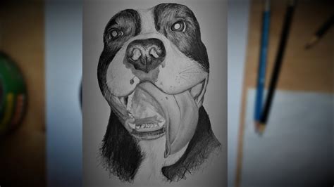 Como dibujar un perro realista a lápiz How to draw a realistic dog