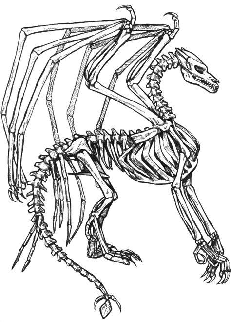 Skeleton Dragon Coloring Pages Coloring Home