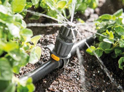 Check spelling or type a new query. The Best Options for Automatic Plant Watering System | Hort Zone