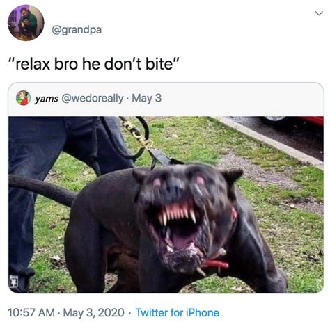 Relax Bro He Dont Bite He Doesnt Bite Know Your Meme