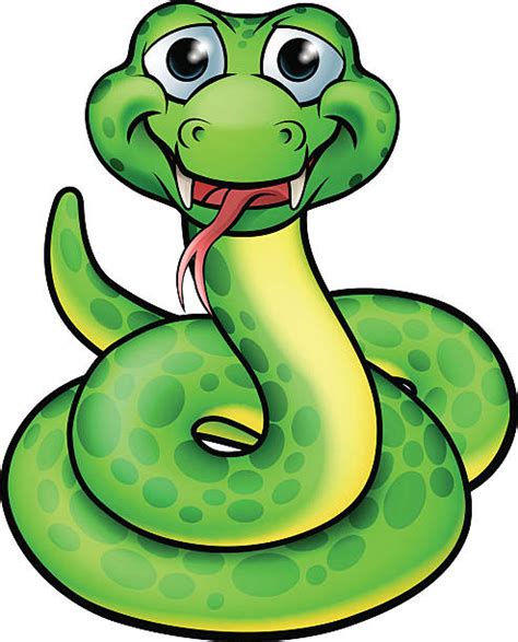 Best Green Anaconda Illustrations Royalty Free Vector Graphics And Clip
