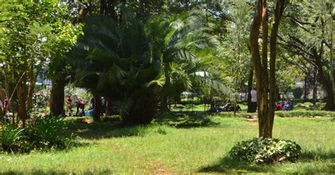 Muliro Gardens Offering Relaxing Atmosphere To Residents Kenya News Agency