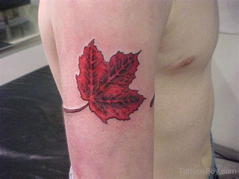 Canadian Leaf Tattoo Design Tattoo Designs Tattoo Pictures