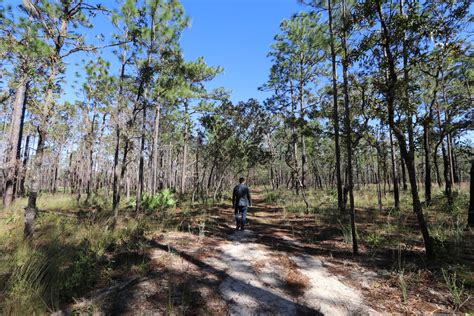 Silver Springs State Park Hiking Trails Outdoor Project