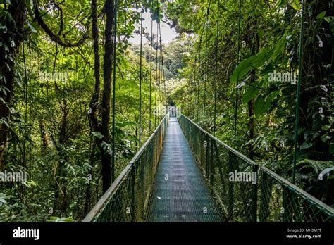 Hanging Bridges In Cloudforest Monteverde Costa Rica Stock Photo Alamy