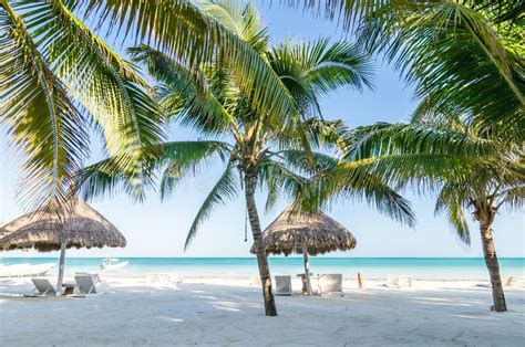 Tropical Vacation View With Palm Trees At Exotic Sandy Beach On