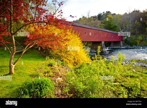 West Cornwall Covered Bridge With Flowering Forsythia Stock Photo Alamy