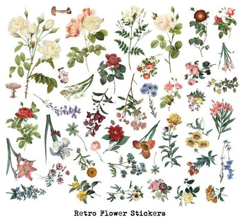 Pcs Vintage Flowers Stickers Pack Translucent Flowers Etsy