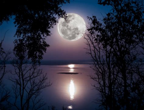 Seminare für mehr energie, gesundheit und lebensfreude. 11.04.2017 - Vollmond in Waage
