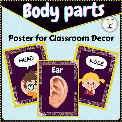 Body Parts Poster For Classroom Decor And Special Education Disha
