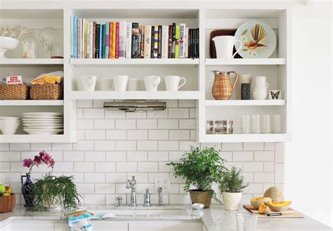 Kitchen Cabinet Shelves Ideas Cabinets Matttroy