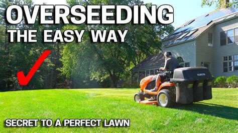 How To Overseed Your Lawn In Fall Easy Way Youtube
