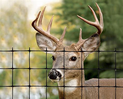 Vineyard Deer Barrier Fencing Resources Information Tenax Fence