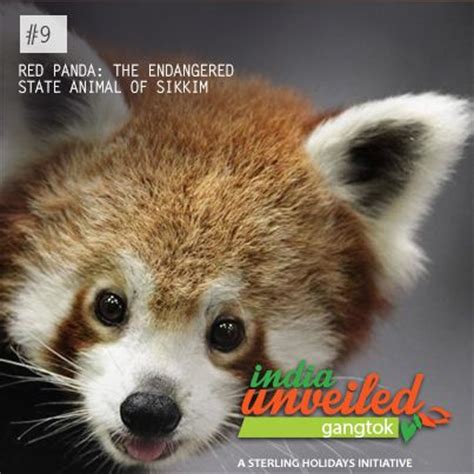 For animals names list from a to z. Panda, the state animal of Sikkim, is also known as the ...