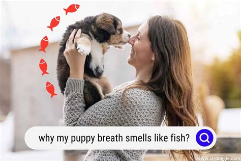 Simple Reasons Why Puppy Breath Smells Like Fish