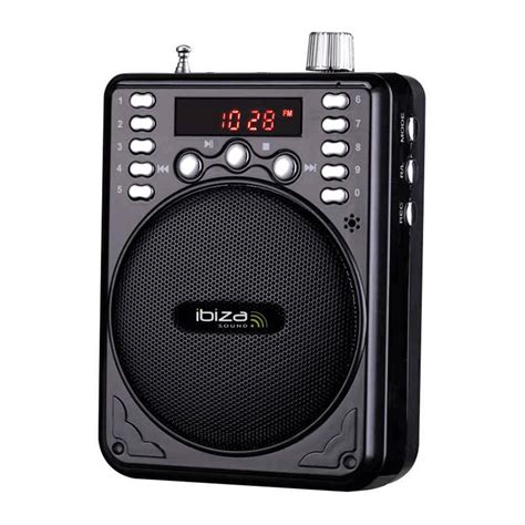 Ibiza Mini Pa System Dj Dealer Professional Audio And Lighting