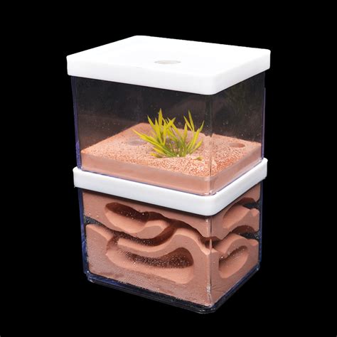New Large Plaster Ant Farm Natural Ecological Big Ant Nest Insect