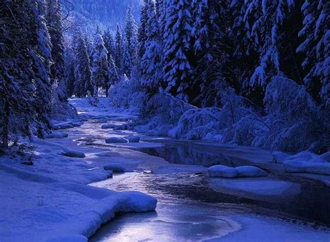 Winter Creek Forest Water Snow Firs Hd Wallpaper Peakpx