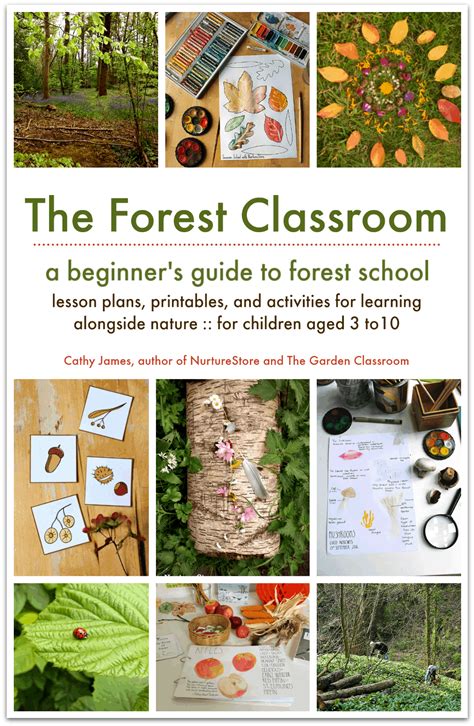 The Forest Classroom Beginners Guide To Forest School Laptrinhx News
